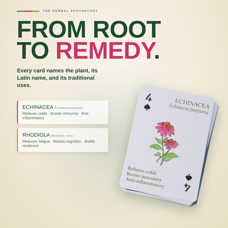 Plants of Wellness Playing Cards – example cards showing what is inside the deck