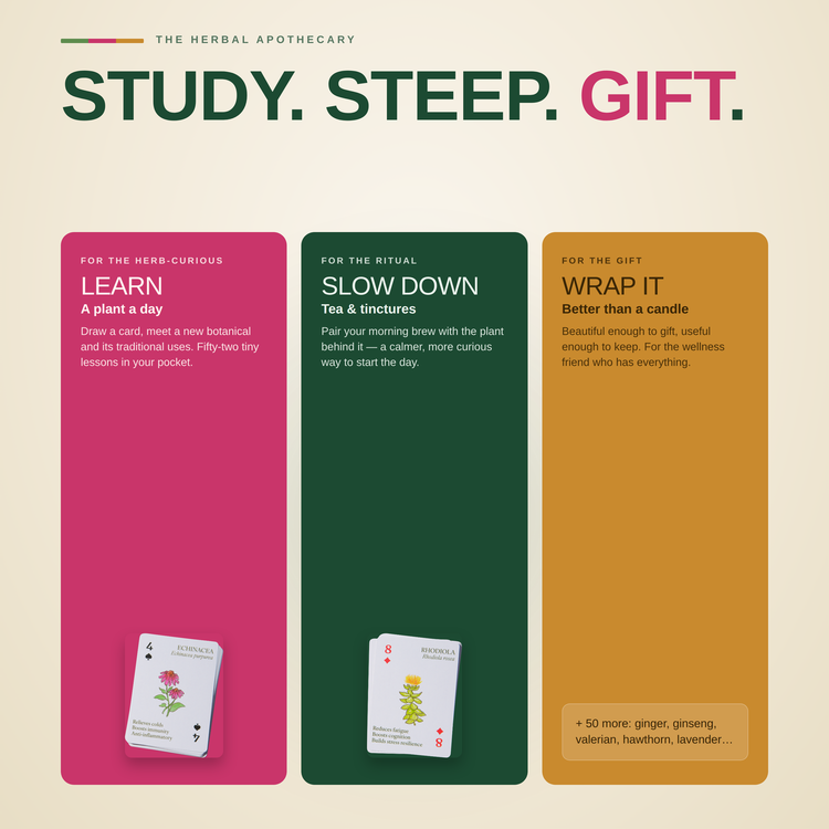 Plants of Wellness Playing Cards – gift and occasion ideas