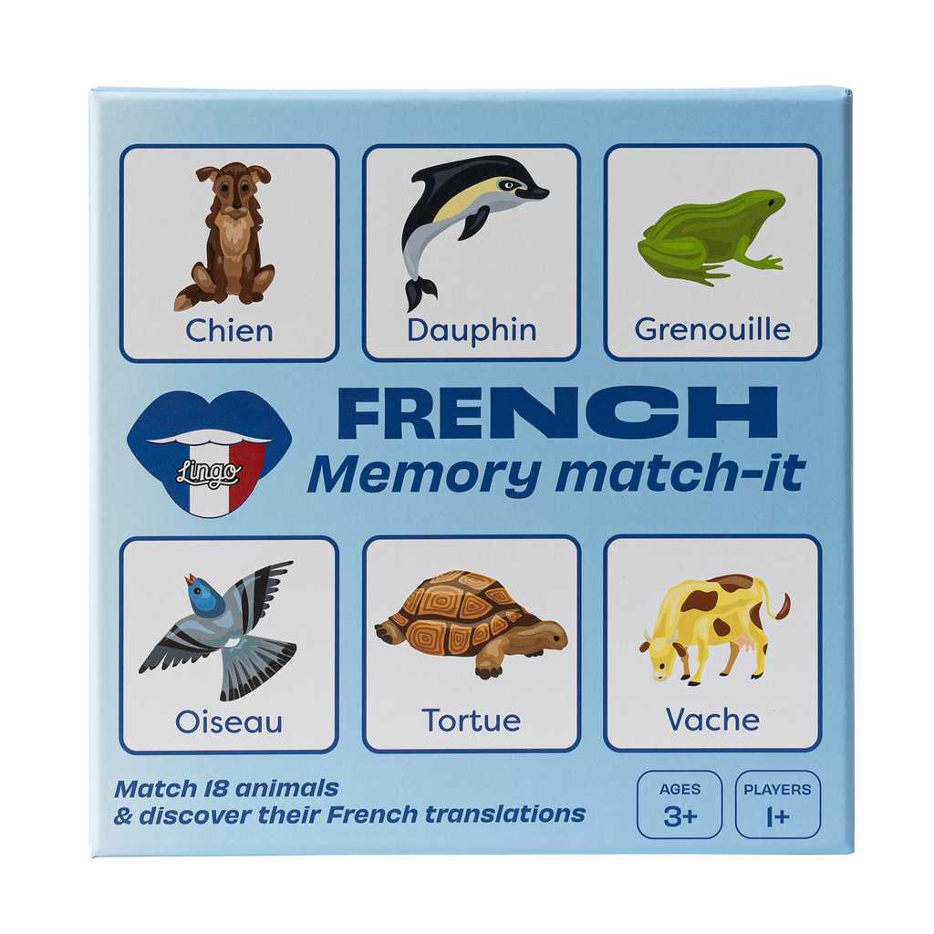 Computer Memory In French Kids — Lingo
